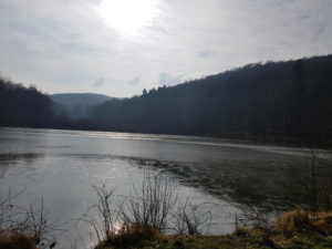 Sonniger Ausblick auf die Hirschbornteiche Bad Soden-Salmünster