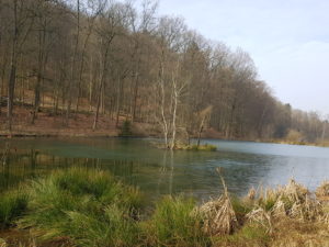 Die Landschaft um die Hirschbornteiche Bad Soden-Salmünster